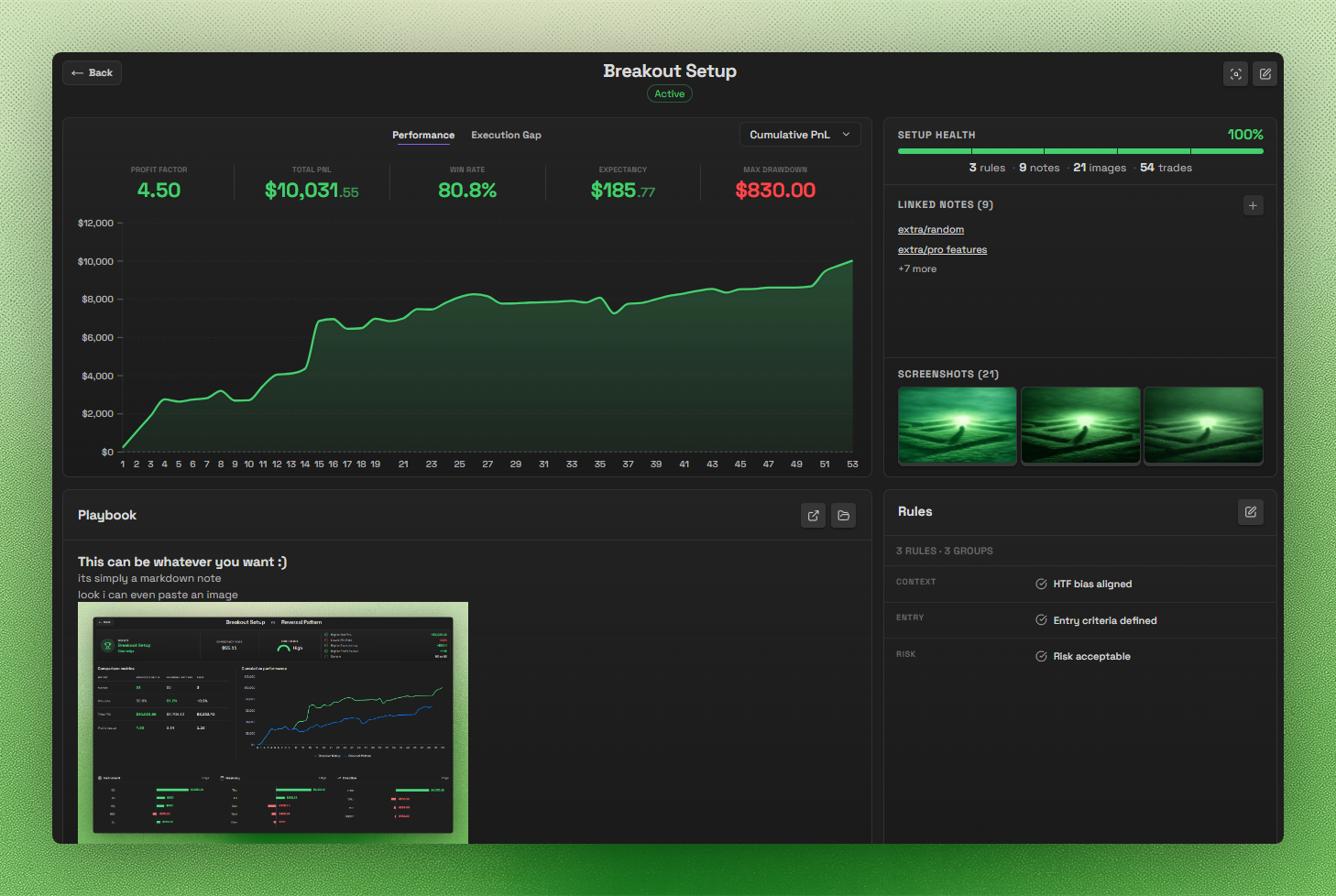 Individual Setup page showing performance and execution-gap tabs, cumulative P&L chart, setup health, linked notes, screenshot evidence, playbook, and rules